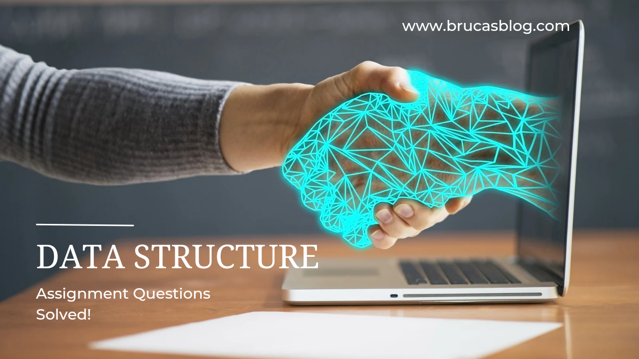 Data Structure Assignment Questions and Answers